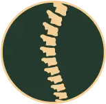 Spine